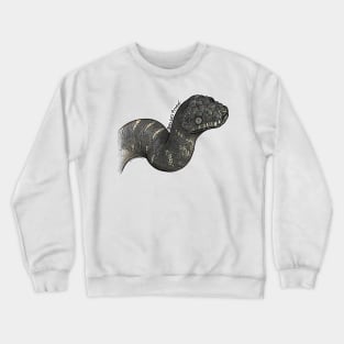 Muted Colour Boelen's Python CZ Crewneck Sweatshirt